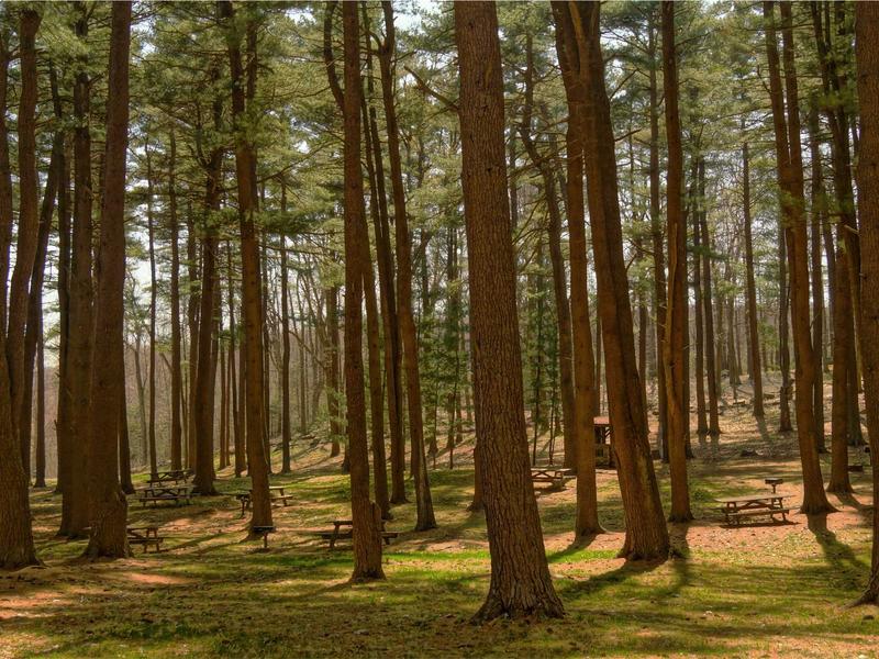 contact screenshot 4